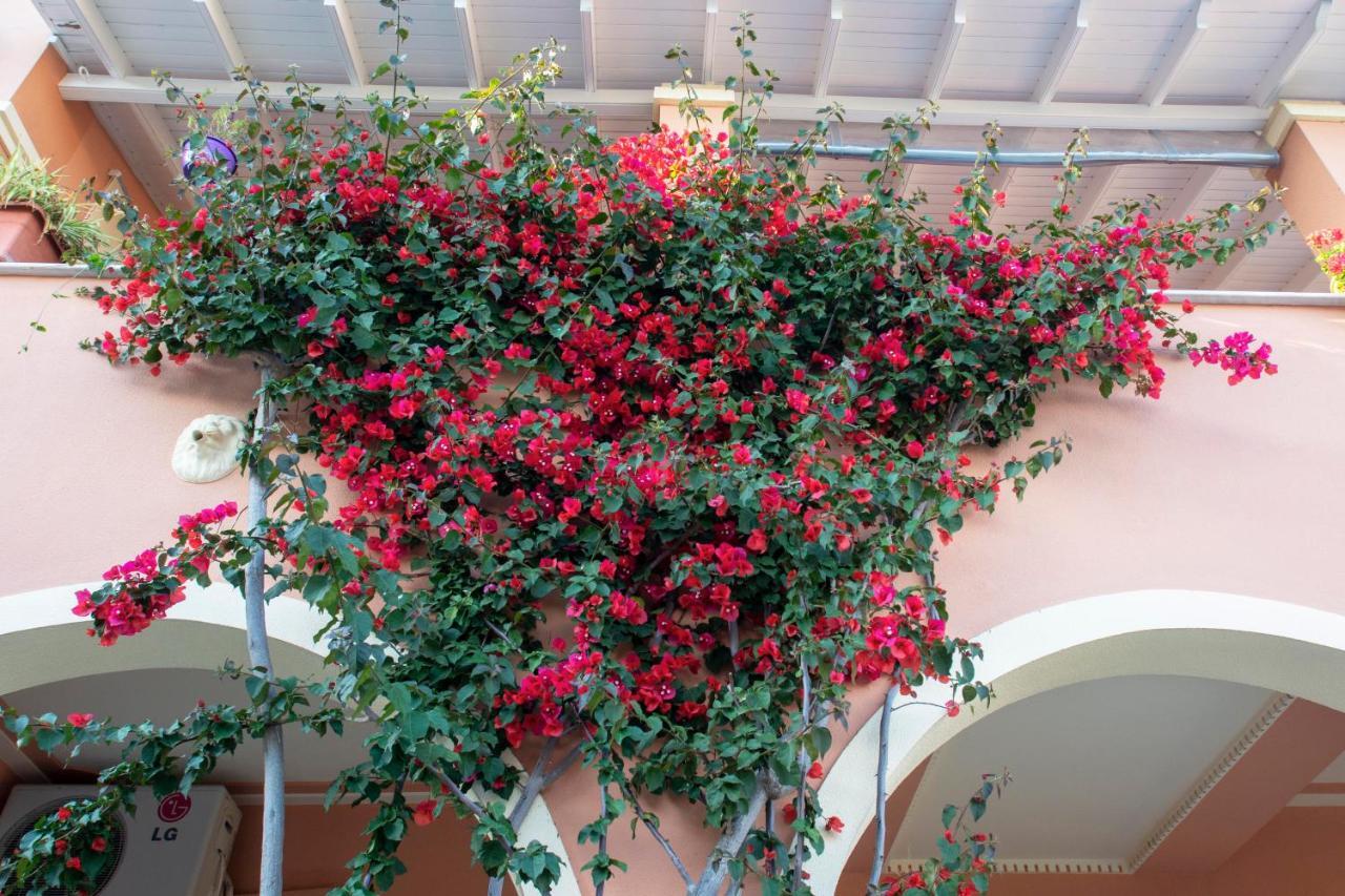 The Red Bougainvillea Apartments Kanálion Eksteriør bilde